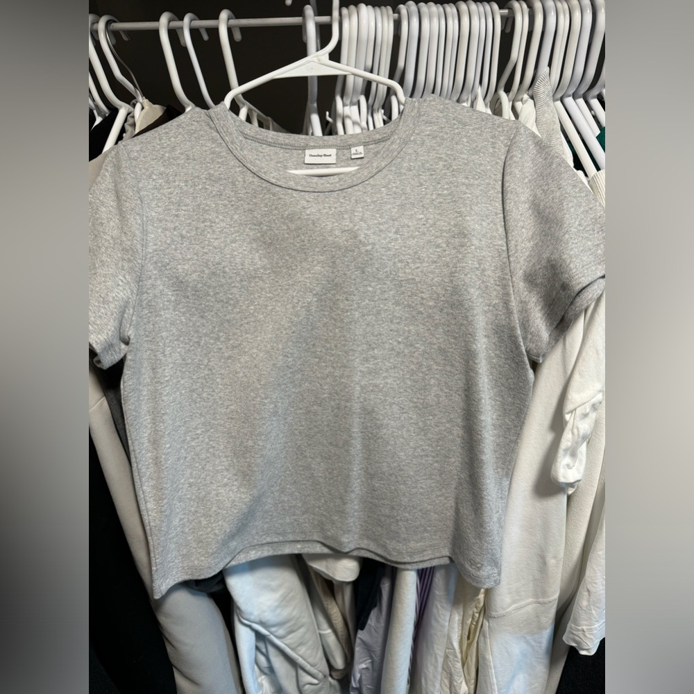 Aritzia grey baby tee